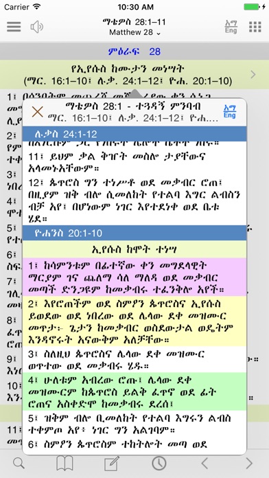 Ethiopian amharic bible study